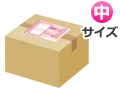 ダンボール中サイズ